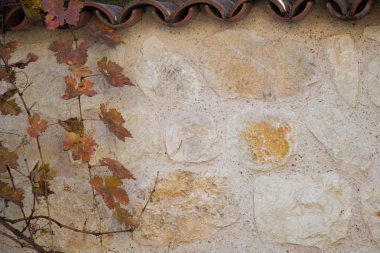 Kuru yapraklar bir sonbahar doğası arka planı olarak