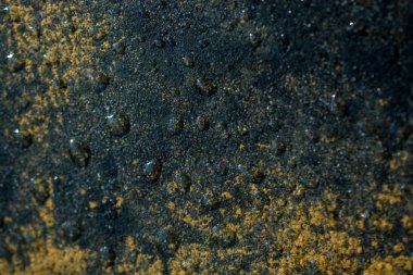 Yakın plan görüntüde su damlalarıyla kaplı arkaplan