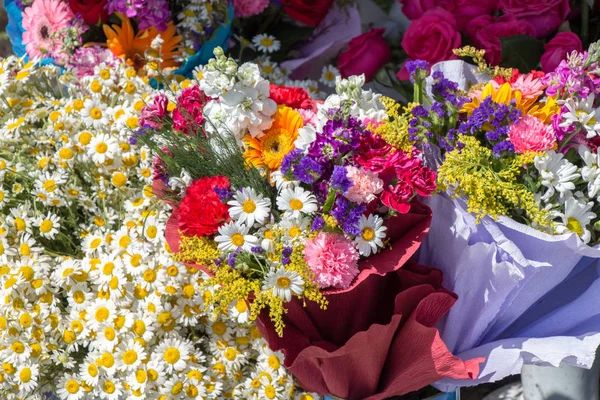 Blommande Vackra Färgglada Färska Naturliga Blommor Sikte — Stockfoto