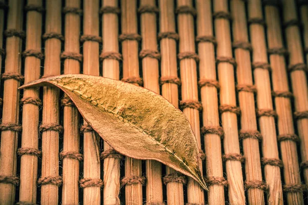 Foglia Secca Sfondo Tappeto Paglia Marrone — Foto Stock