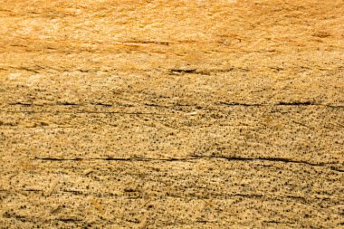 Arkaplan olarak doğal desenli ahşap doku