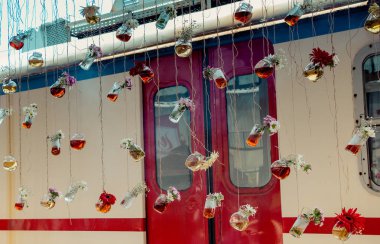 İplere asılı çiçekli bitkisel çay şişeleri