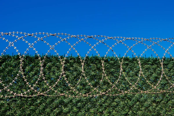 Valla Alambre Púas Utilizada Efectos Protección Una Propiedad — Foto de Stock