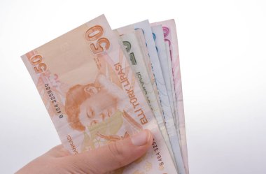 Turksh Lirası banknotlar beyaz arka plan üzerinde tutan el