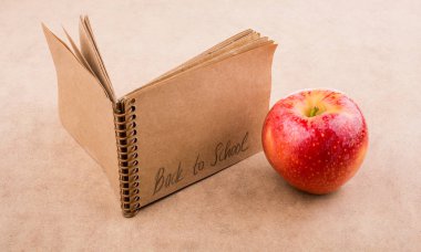 Okula geri döndüm ve elimde bir defter vardı.