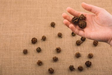 El ele tutuşan kapsül ya da kapsül tuval arka planında