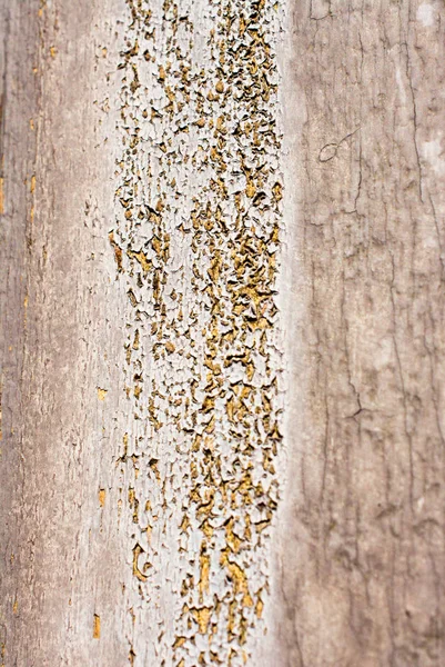 Fondo Detalles Textura Fondo Forma Abstracta Sobre Madera —  Fotos de Stock