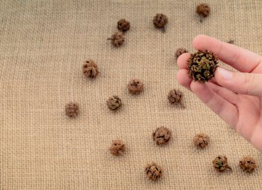 El ele tutuşan kapsül ya da kapsül tuval arka planında