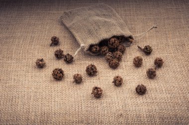 Bitki kapsülleri, çuvaldan çıkan kapsüller.