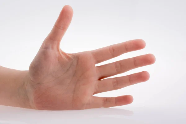 Mano Humana Apuntando Sobre Fondo Blanco — Foto de Stock