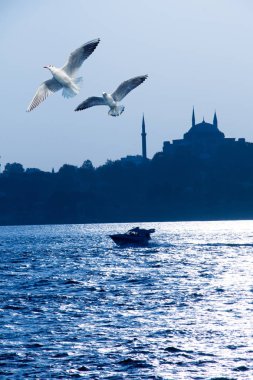 Cami minaresi ve tekneden önce martılar gelir.