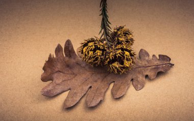 Arkaplanda modül, koni veya kapsül