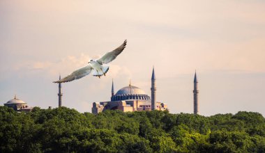 Ayasofya, Bizans mimarisinin dünyaca ünlü anıtı.