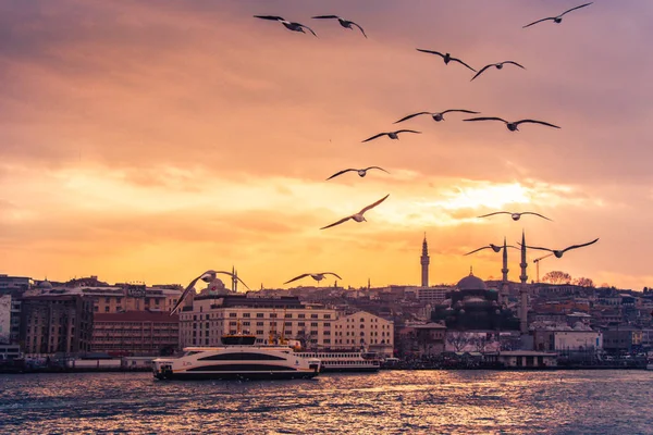 Gaviotas Volando Cielo Estambul Turquía — Foto de Stock