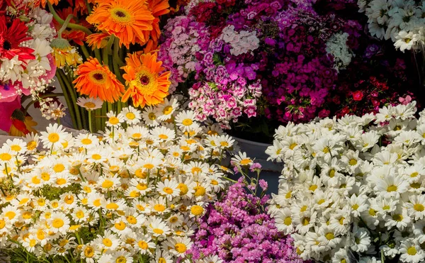 Flores Coloridas Frescas Colocar Vasos Nos Floristas — Fotografia de Stock
