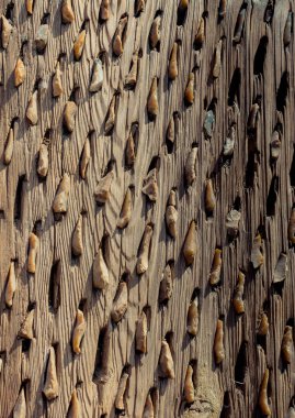 Belirli bir doku desenine sahip ahşap arkaplan