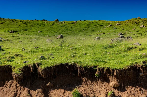 Grönt Gräs Höglandsäng Artvin Turkiet — Stockfoto