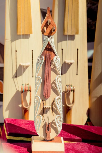 Conjunto Modelos Instrumentos Musicales Kemancha Madera — Foto de Stock