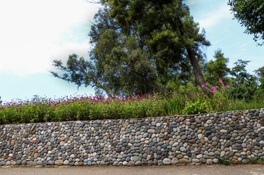 Arka plan olarak güzel taze çiçekler