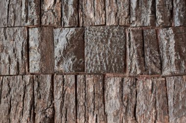 Arkaplan ve arkaplan doku ayrıntıları