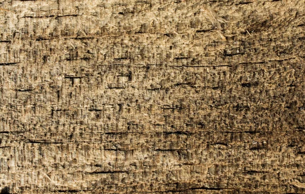 Arkaplan olarak doğal desenli ahşap doku