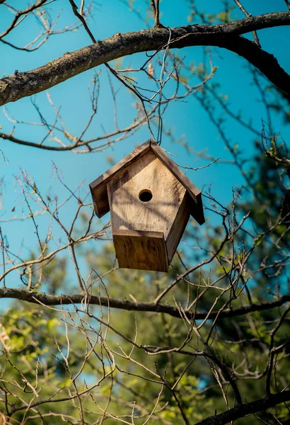 Casa Pájaros Madera Vista — Foto de Stock