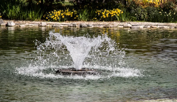 Çeşmeler parktaki bir havuzda köpüklü su fışkırtıyor.