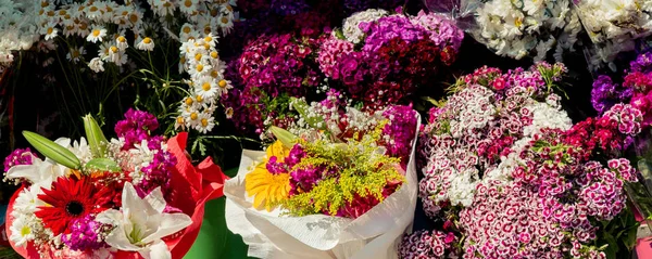 Vackra Blommor Olika Typer Blomma Vas — Stockfoto