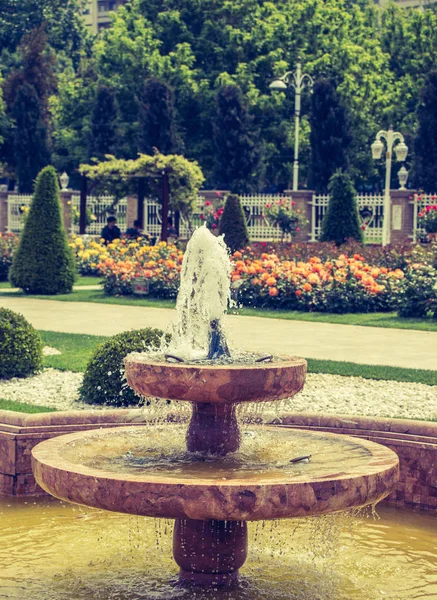 Wasser Sprudelt Aus Dem Brunnen Rosengarten — Stockfoto