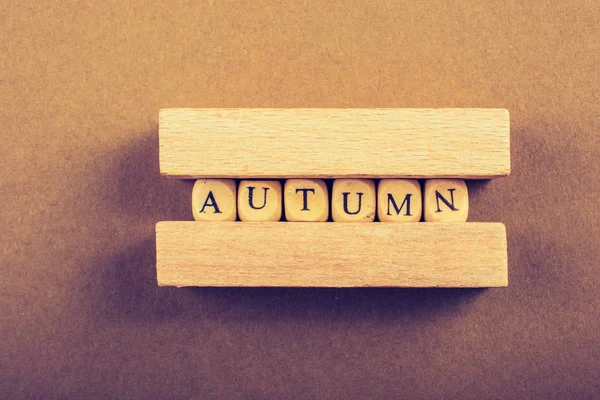 秋または秋の構成または概念と言葉秋 — ストック写真