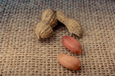 Kırık açık fıstık kabuğu keten tuval arka plan üzerinde