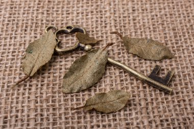 Bir sürü Retro biçimlendirilmiş altın renkli anahtar