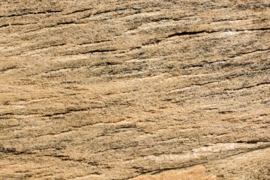 Arkaplan olarak doğal desenli ahşap doku