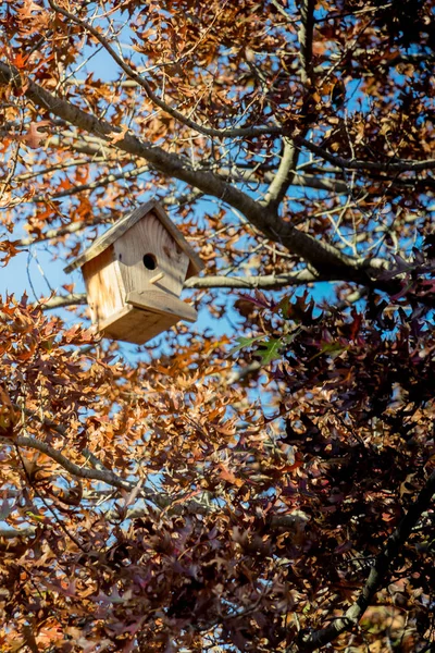 Aves Caseras Madera Colgando Una Rama Árbol — Foto de Stock