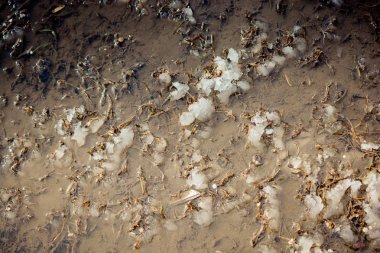 Kayalık ve çamurlu yüzeyde beyaz kar