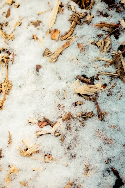 Trozos Madera Sobre Nieve Blanca Frío Invierno —  Fotos de Stock