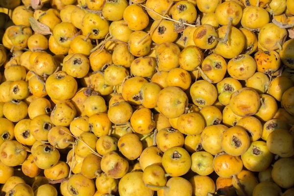 Azarole, Akdeniz medarı, pazarda toplanıp satıldı.