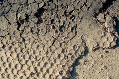 Soyut bir grunge arkaplan olarak çatlak beton desenli