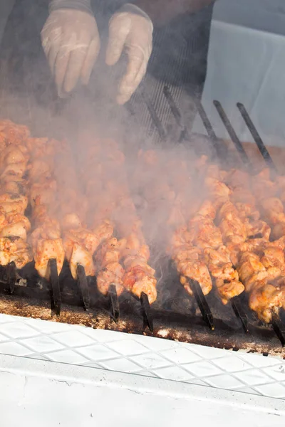 Manzarada Izgara Yapılmış Tavuk Şiş Kebap — Stok fotoğraf