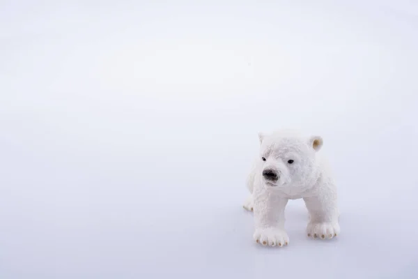 Modelo Oso Polar Sobre Fondo Blanco — Foto de Stock