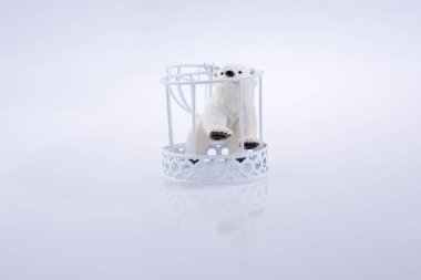 Kutup ayısı metal bir kafese hapsolmuş