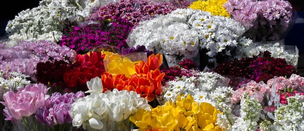 Flores Frescas Colores Poner Floreros Las Floristerías —  Fotos de Stock