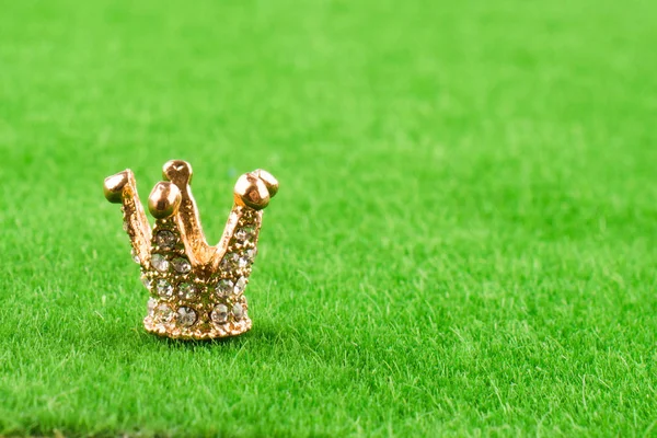 Golden Crown Färgmodell Med Pärlor Gräs — Stockfoto