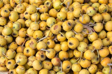 Azarole, Akdeniz medarı, pazarda toplanıp satıldı.