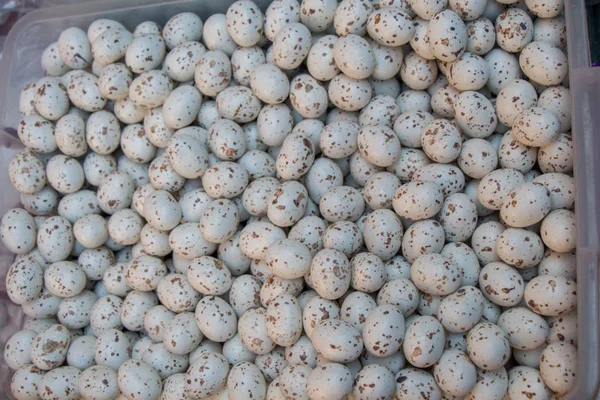 Siyah bir yığın Bıldırcın yumurta ekranda görüldü