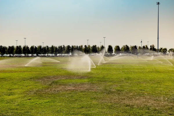 Lawn water sprinkler spraying water over grass in garden