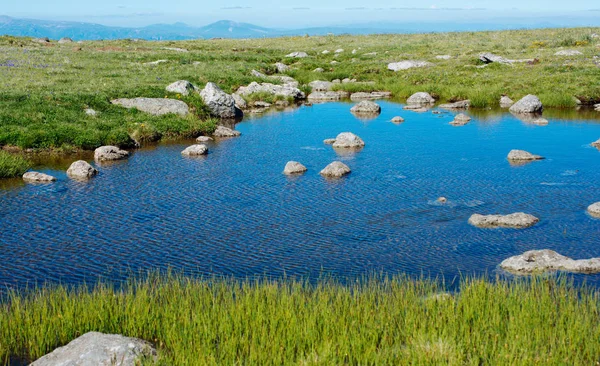 トルコのArtvinの高地の池による野生の草 — ストック写真