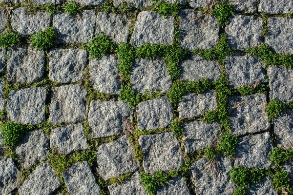 Cobblestone Pedra Pavimento Fundo Textura Rua — Fotografia de Stock