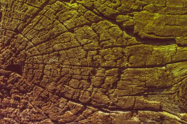 Arkaplan olarak doğal desenli ahşap doku