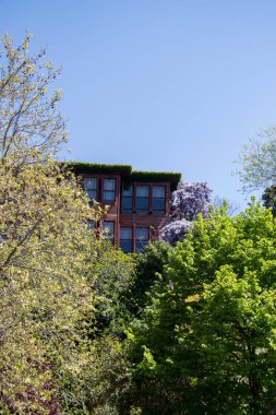 Mimari Örnek: Seçkin Türk Geleneksel Evleri